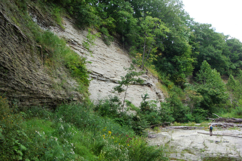 River Bluff Seep